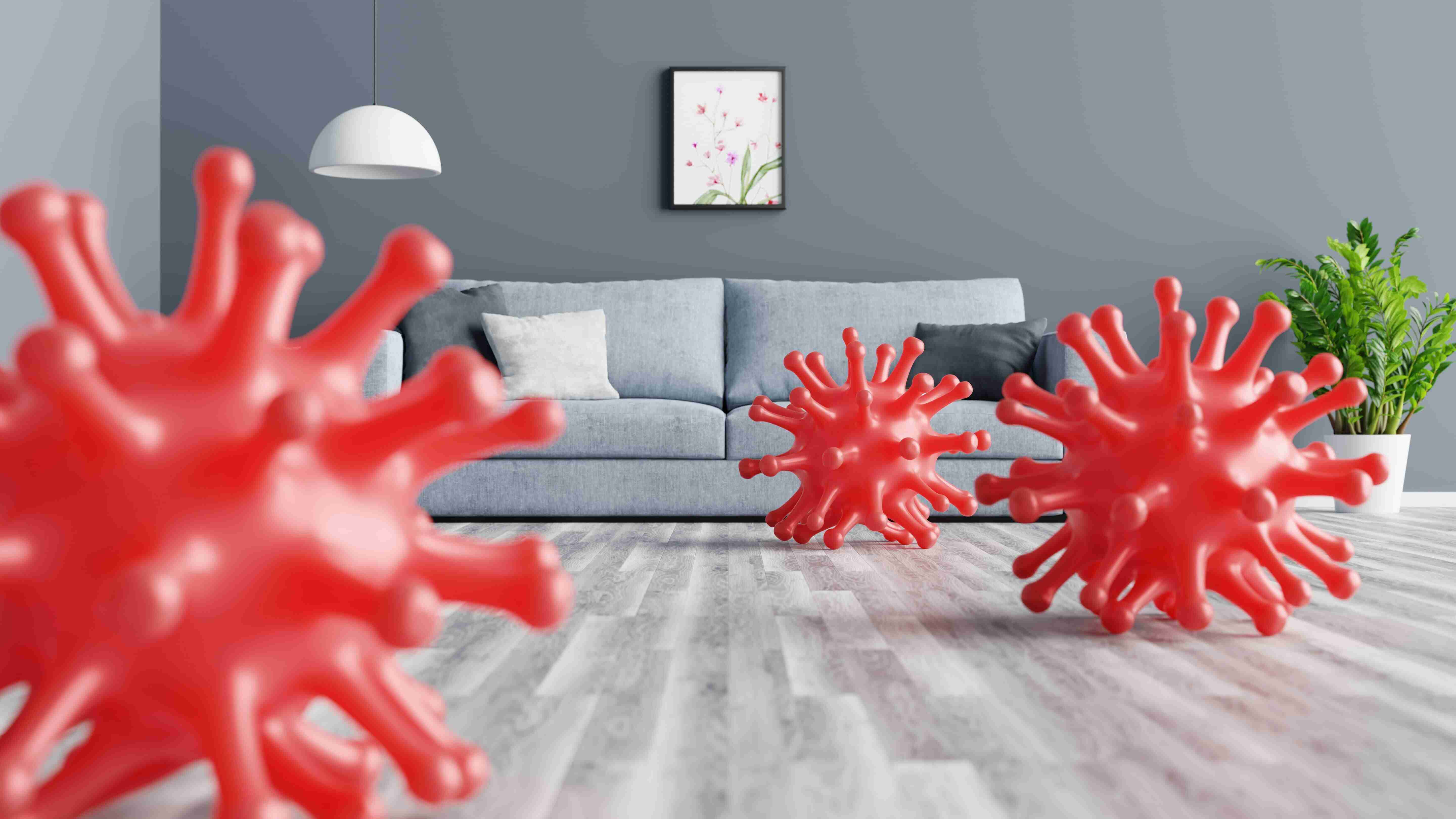 Keep Germs Away: Essential Reasons to Clean Your Furniture